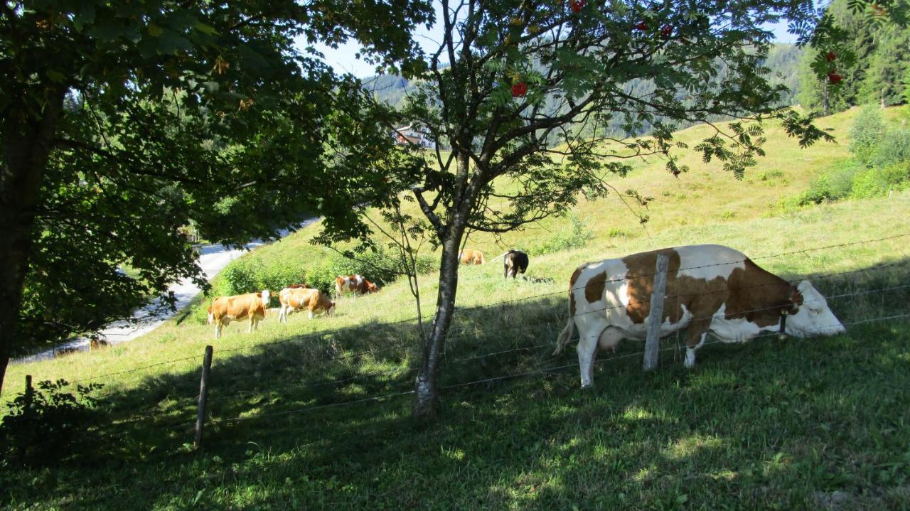 Ferienhaus Englbrecht Krispl Dış mekan fotoğraf