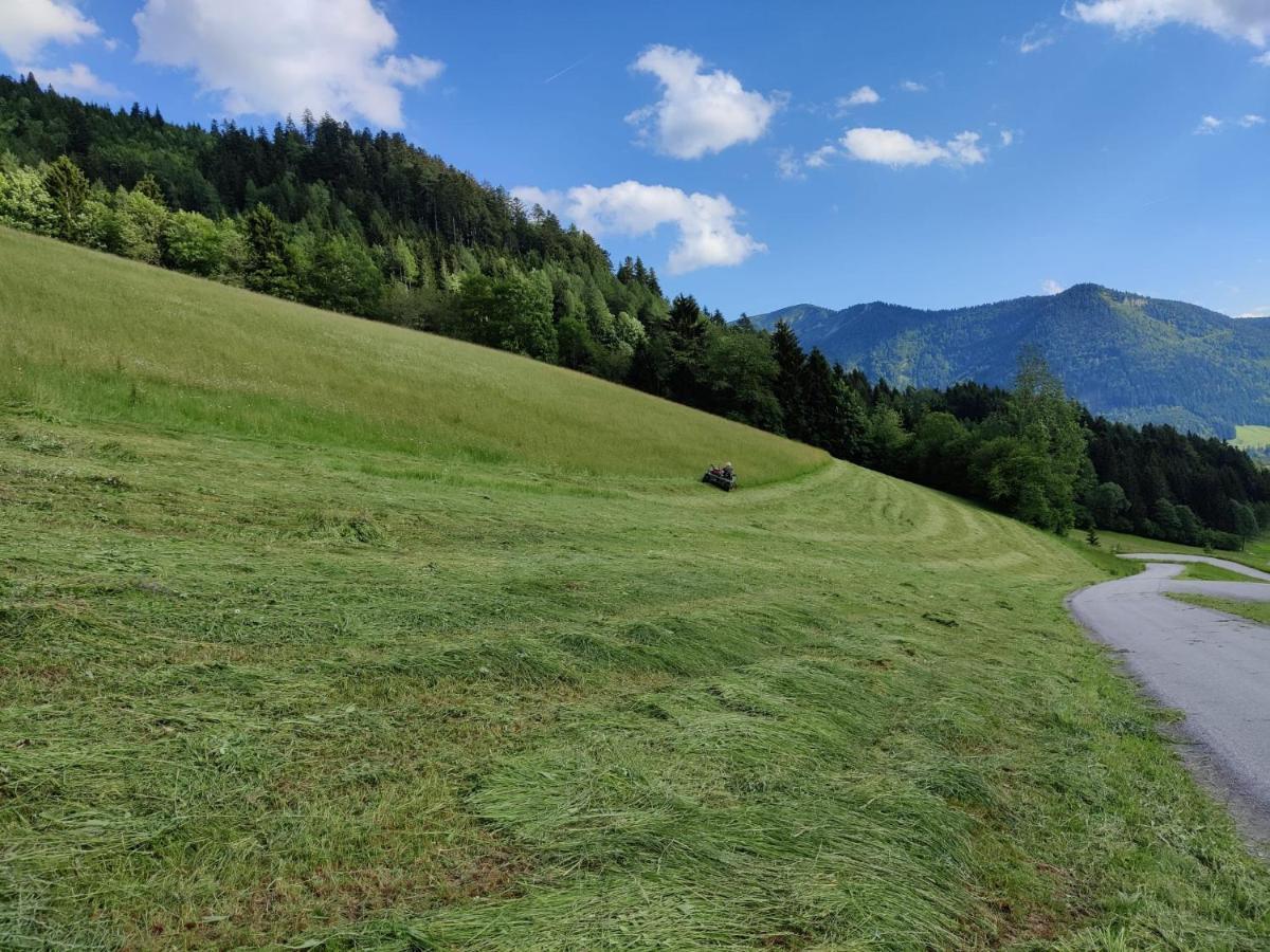 Ferienhaus Englbrecht Krispl Dış mekan fotoğraf